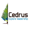 Cedrus NB